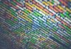 Alla scoperta del web3, il futuro di internet… E non solo Web3