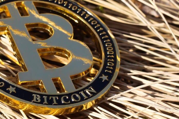 Bitcoin vs Oro