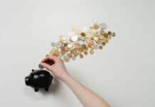 Stablecoin: le mosche bianche del mondo cripto: una guida per gli investitori stablecoin