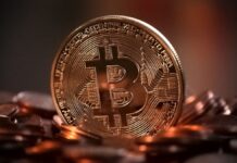 Come il Bitcoin affosserà le altcoin? L’allarme di un noto esperto Altcoin vs Bitcoin