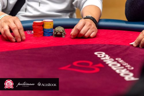 574111050 685631327936694 3788234918442384036 n